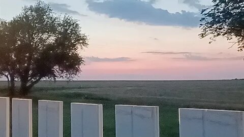 Corn Fed Evening Stroll