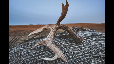 Capturing a Boone & Crockett drop tine buck shed an antler