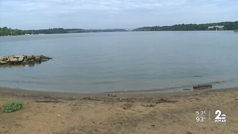 Group plants 12 million oysters in the Severn River