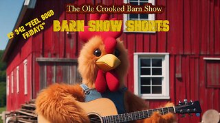 "Barn Show Shorts" Ep. #342 “Feel Good Fridays”