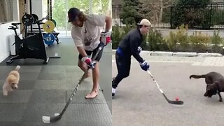 NHL Players Stick-Handling Against Their Dogs