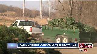 The city of Omaha offers Christmas tree recycling until Jan. 8th