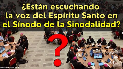 ¿Están Escuchando la Voz del Espíritu Santo en el Sínodo de la Sinodalidad? ¿cómo podemos saberlo?