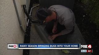 Keeping bugs out of your home