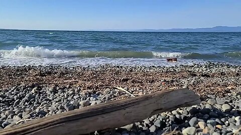 Had a rough day at work? Listen to the waves from Qualicum Beach.