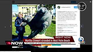 Martha Stewart stranded in Palm Beach