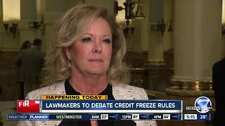 Lawmakers debate bill to allow credit freezes for minors