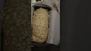 Surface Tension For Bread | Fresh Milled Flour Loaf
