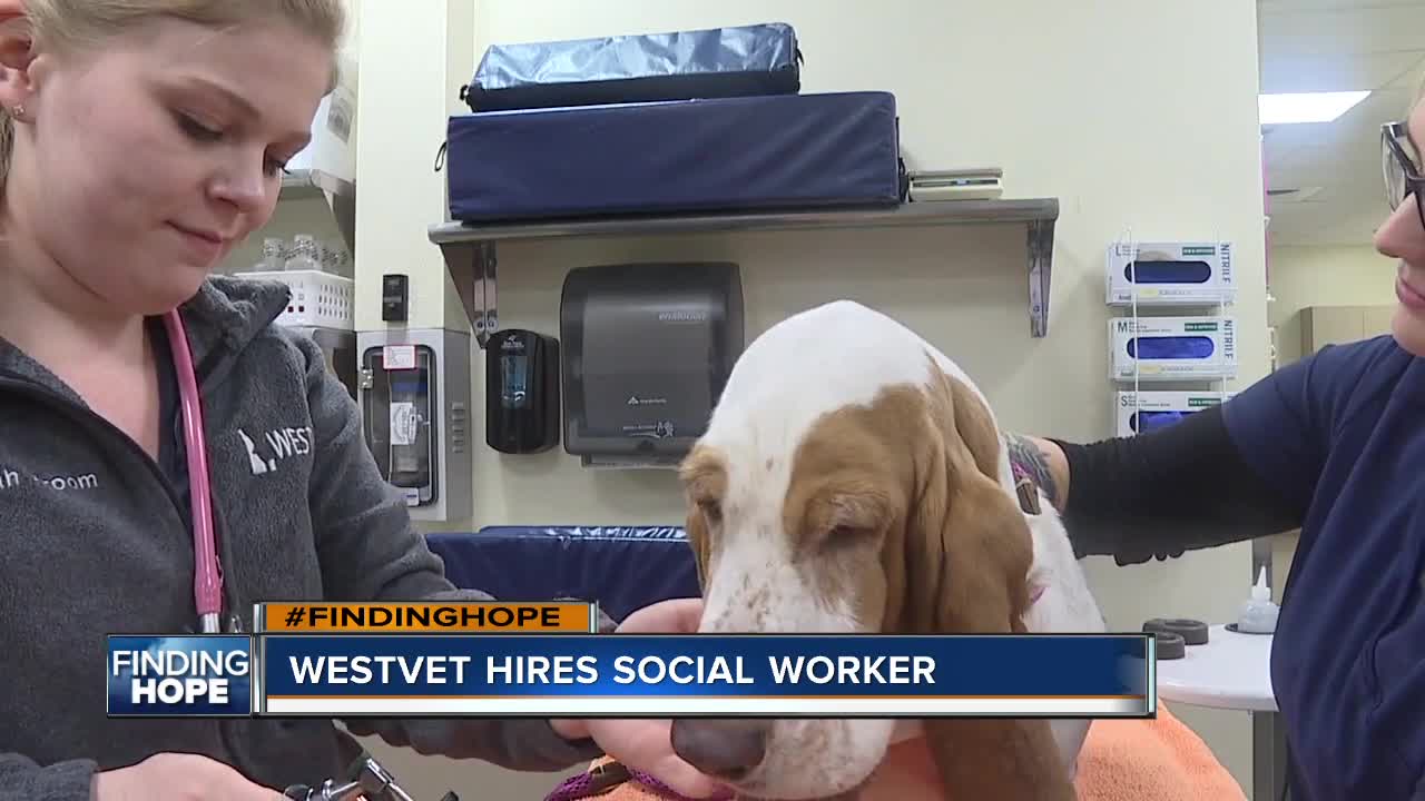 WestVet veterinary clinic hires a social worker