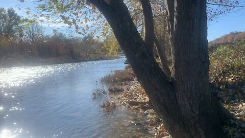 Elkhorn Creek Beauty