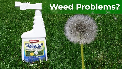 Is this the Best Weed Killer in 2021? Gordons Trimec Broadleaf Weed Killer