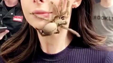 Woman Faces Biggest Fear By Letting A Tarantula Walk On Her Face