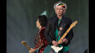 Keith Richards gets a cockroach named after him for his 77th birthday