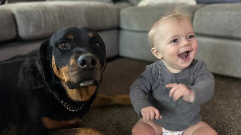 Raising Rottweilers & Babies Together SAFELY