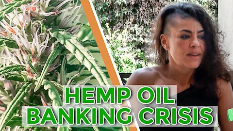 CANNABIS BANKING CRISIS || Interview Featuring Maryam Henein