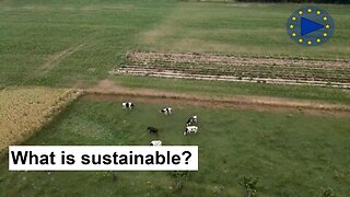 🇪🇺 Sustainable Farming in Belgium: How the CAP Supports the European Green Deal 🇪🇺