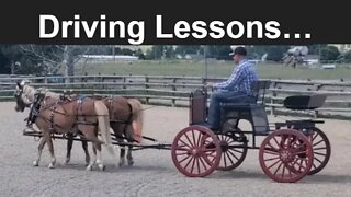 Driving Ponies | Visiting Dunrovin Ranch | Montana Ranches