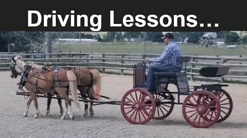 Driving Ponies | Visiting Dunrovin Ranch | Montana Ranches