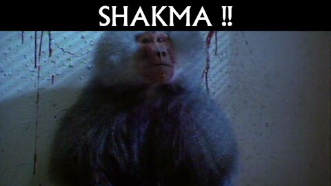 SHAKMA! (1990) - Too Xtreme Horror Show
