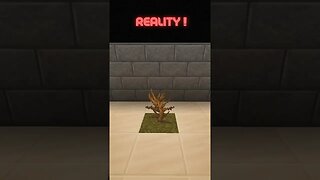 Minecraft Reality Vs Realistic - Dead Bush #minecraft #minecraftshorts #minecraftrealistic #shorts