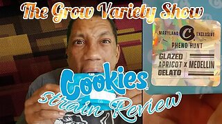 Glazed apricot x Medellion strain Review (The Grow Variety Show ep.252)