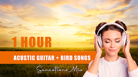 1 HOUR OF RELAXING SOUNDS: SUNSET WITH ACUSTIC GUITAR AND BIRDS