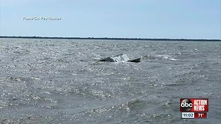 Boat rescue in Pasco County