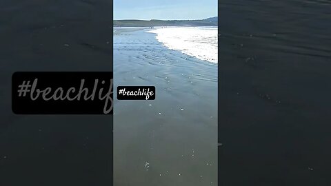 #beachlife