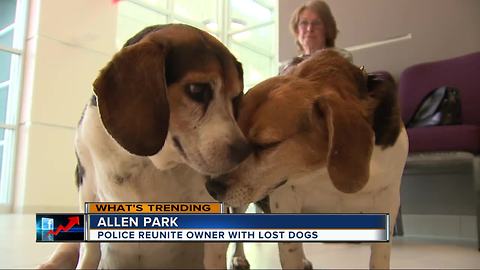 Police reunite metro Detroit woman with dogs that ran off