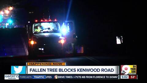 PD: Downed trees on Kenwood Road will impact morning traffic
