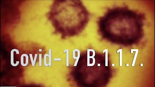 What's next after new COVID-19 variant discovered in Michigan?