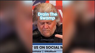 Steve Bannon: MAGA is Draining The Swamp - 4/8/24