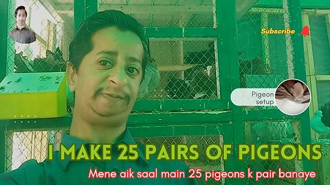 I make 25 pairs of pigeons || pigeons k 25 pair banaye ali bhai ne || english fantail pigeon setup