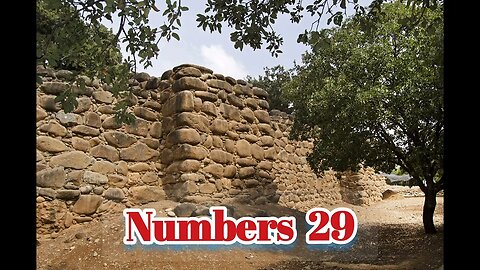 Numbers 29