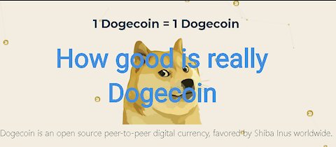How good is really Dogecoin ?