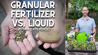 🌿 Granular Fertilizer vs. Liquid - What's the Difference? #shorts 🌿