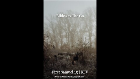 1 SAMUEL 15 | KJV