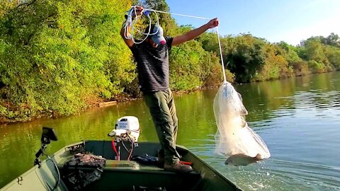 Throwing a cast net near DOWNTOWN HOUSTON, TX! (PERFECT Bait!)