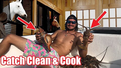 I have a problem with my huge Horse Co... Catch Clean and Cook