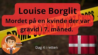 Dag 4 i Louise Borglit sagen