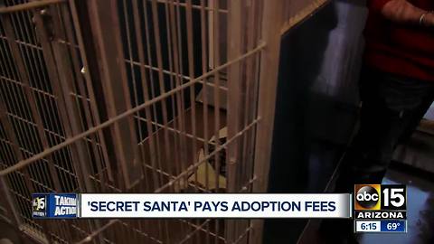 A 'Secret Santa' paid for adoption fees at animal shelter