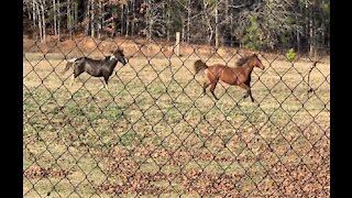 Spring is in the air in Alabama