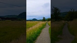 The sound of sheep on The West Highland Way Scotland #westhighlandway