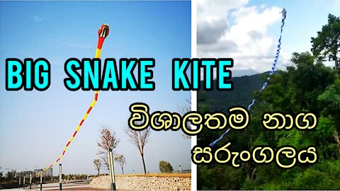 Big snake kite| විශාල නයි සරුංගලය |susantha 11 |#kite| #shorts