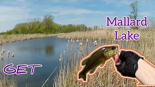 Mallard Lake #fishing #bassfishing