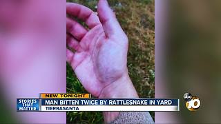 Man bitten twice by rattlesnake