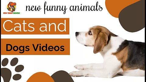 New Funny Animals 2023 😄 Funniest Dogs 😹🐶