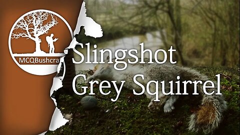 Bushcraft Slingshot Hunting Grey Squirrel