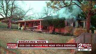 Dog dies in house fire near 11th and Sheridan