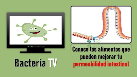 BACTERIA TV: CONOCE LOS ALIMENTOS QUE PUEDEN MEJORAR TU PERMEABILIDAD INTESTINAL